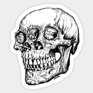 skull head Sticker